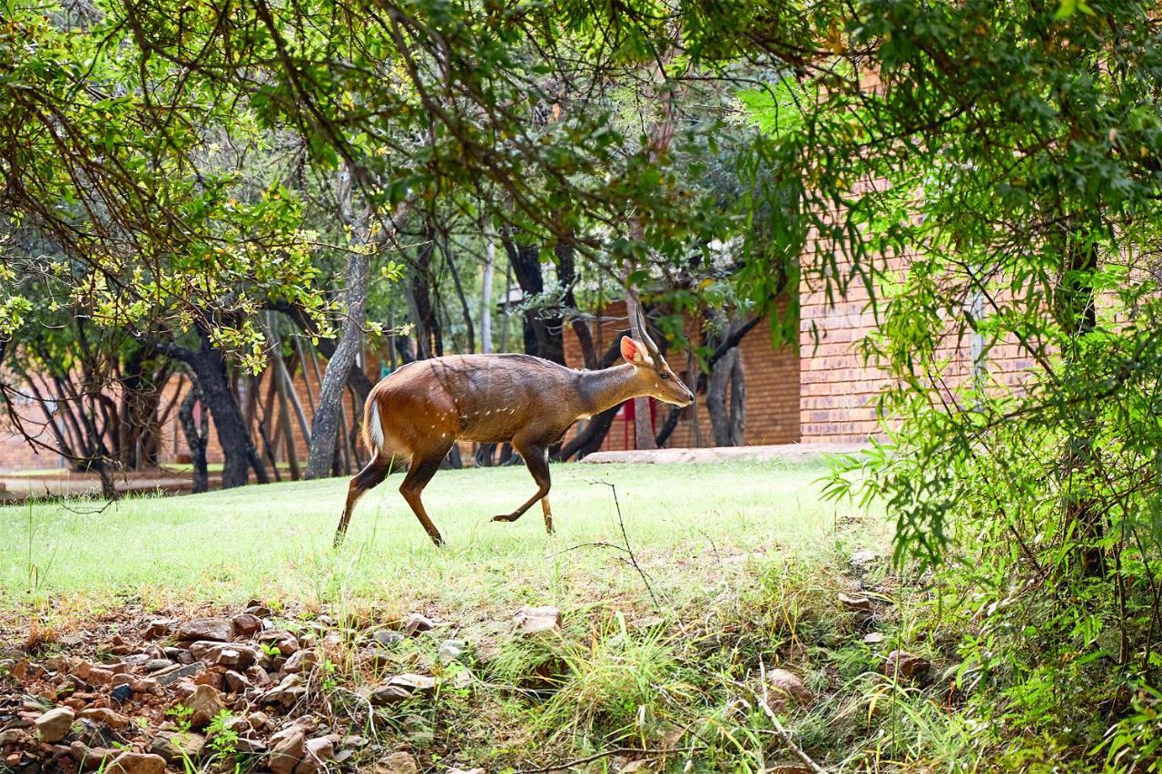 First Group Magalies Park Hotell Hartbeespoort Eksteriør bilde